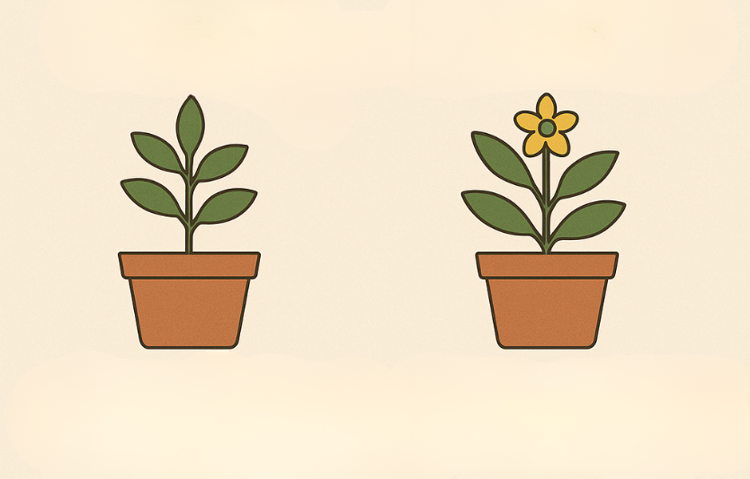 Регулятори росту рослин класифікація, застосування та ефективністьм