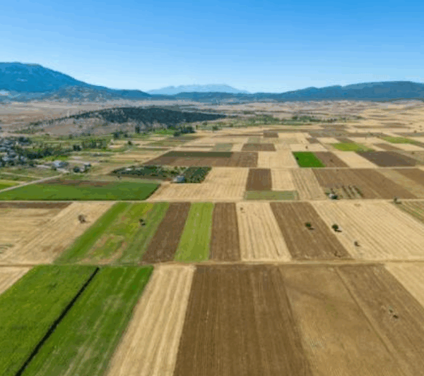 JRC MARS (27 жовтня): як оновлений бюлетень змінює очікування по попиту ЄС