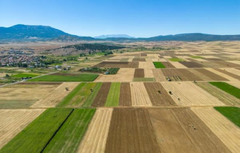 JRC MARS (27 жовтня): як оновлений бюлетень змінює очікування по попиту ЄС