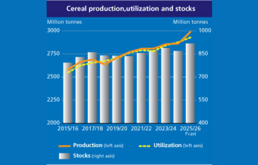 FAO: жовтневий Cereal Supply & Demand Brief — прогноз світового виробництва зерна підвищено