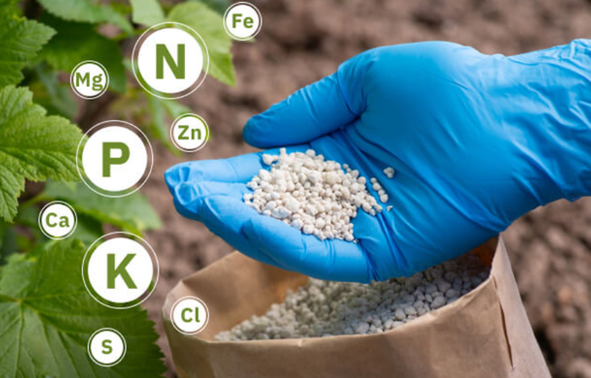 Аграрії відзначають зростання цін на добрива наприкінці рокуАграрії відзначають зростання цін на добрива наприкінці року