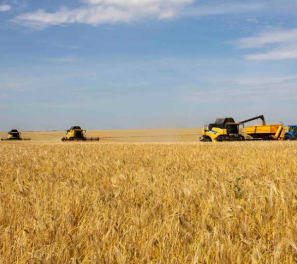 Підсумки аграрного року 2025 врожай, експорт, ключові події