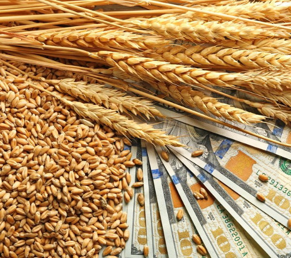 Ринок зерна у січні ціни, попит і логістика