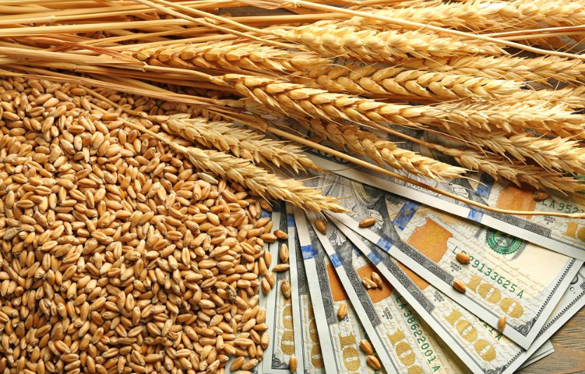 Ринок зерна у січні ціни, попит і логістика