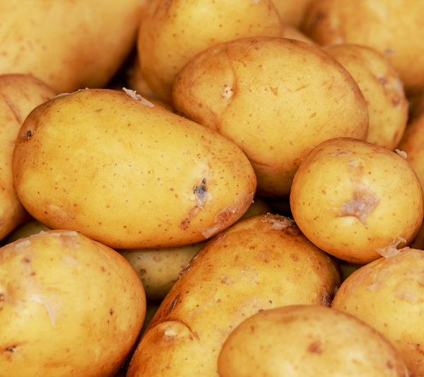 Найбільший виробник картоплі України прогнозує розширення переробки